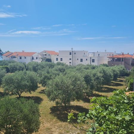 ויר Apartment Tomislav מראה חיצוני תמונה
