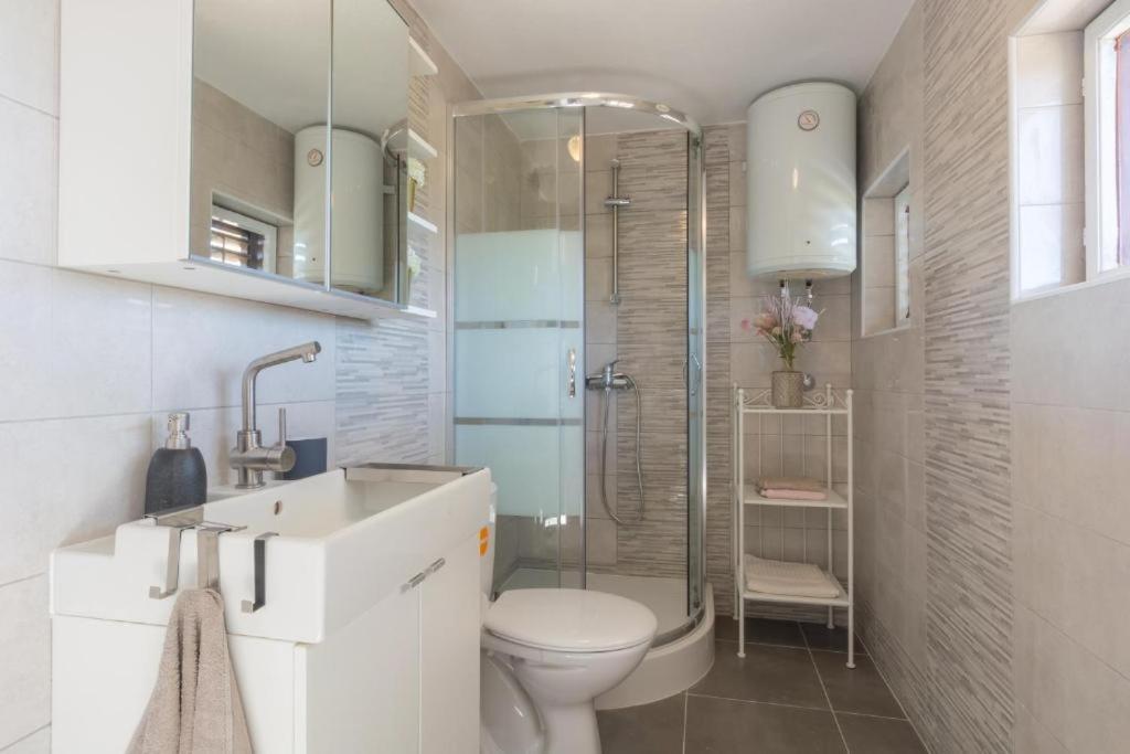 ויר Apartment Tomislav מראה חיצוני תמונה